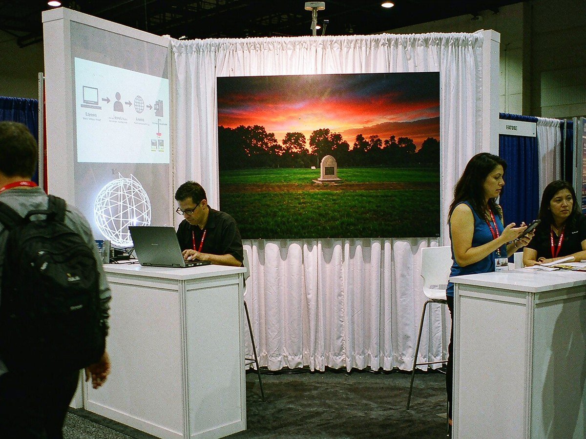 Airline, Transport or Travel-Service Brand
