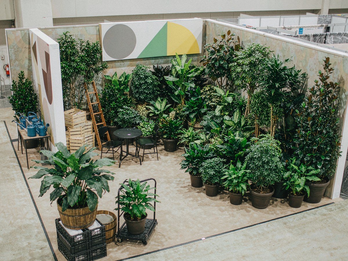 Plant Display Layout