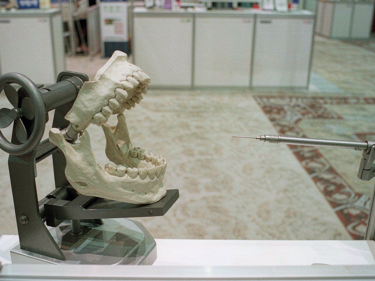 Model and Instrument Display