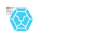 LionsBot