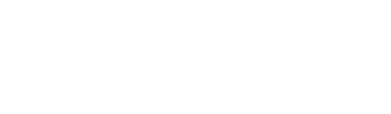Paladin Drones